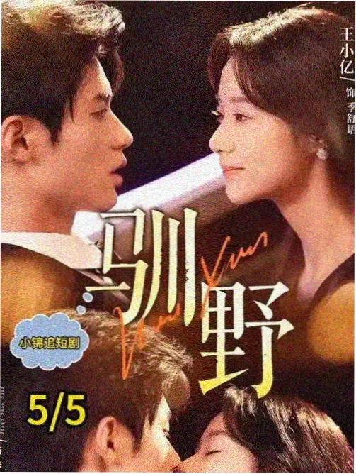 剧集示例条目雾港十二时手账卡片